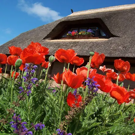 Lejlighed Boddenzauber Fuhlendorf (Mecklenburg-Vorpommern)