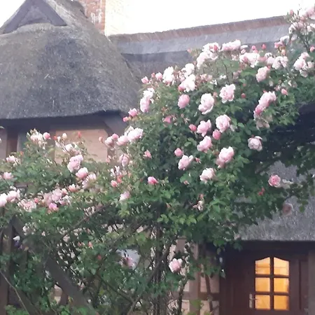 Lejlighed Boddenzauber *